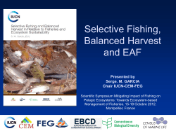 Size - Towards ecosystem-based management of tuna fisheries
