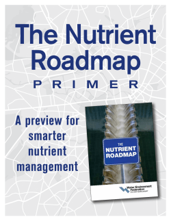Nutrient Roadmap Primer
