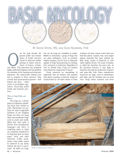 Basic Mycology