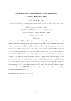 Carbon species confined inside carbon nanotubes: a density
