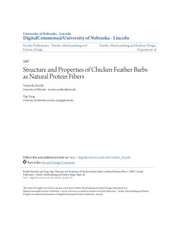 Structure and Properties of Chicken Feather Barbs as Natural