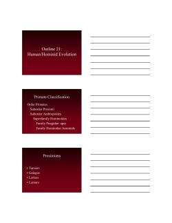Outline 21: Human/Hominid Evolution