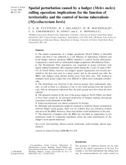 Spatial perturbation caused by a badger (Meles meles) culling