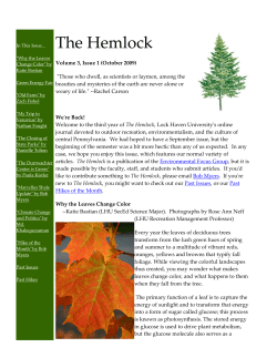 Volume 3, Issue 1 (October 2009)