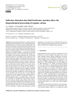 Saltwater intrusion into tidal freshwater marshes