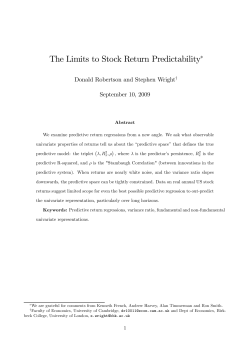 The Limits to Stock Return Predictability&lowast;