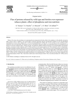 Flux of protons released by wild type and ferritin over