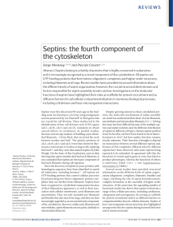 Septins: the fourth component of the cytoskeleton