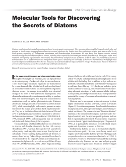 Molecular Tools for Discovering the Secrets of Diatoms