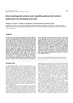 Bone morphogenetic proteins and a signalling