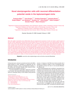 Novel stemprogenitor cells with neuronal differentiation potential