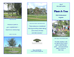 Plant-A-Tree - City of Palm Beach Gardens