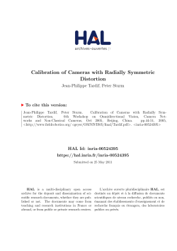 Calibration of Cameras with Radially Symmetric Distortion - HAL
