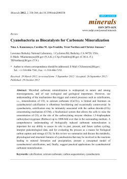 Cyanobacteria as Biocatalysts for Carbonate Mineralization
