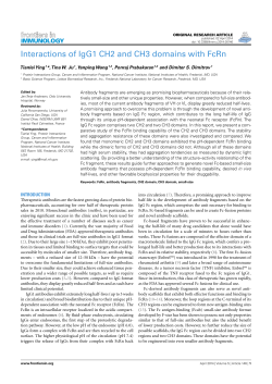 Interactions of IgG1 CH2 and CH3 domains with FcRn