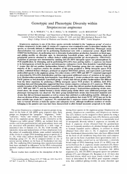 Genotypic and Phenotypic Diversity within Streptococcus anginosus