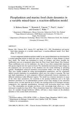Picoplankton and marine food chain dynamics in a variable mixed