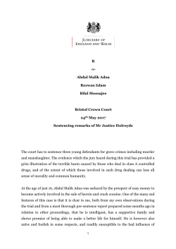 Sentencing remarks of Mr Justice Holroyde: Abdul Malik Adua