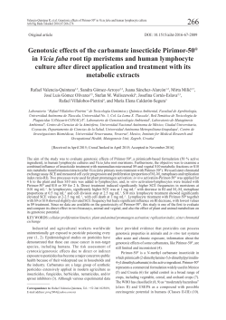 Genotoxic effects of the carbamate insecticide Pirimor