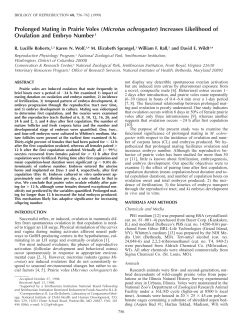 Prolonged Mating in Prairie Voles (Microtus ochrogaster) Increases