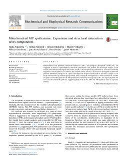 Mitochondrial ATP synthasome: Expression and structural