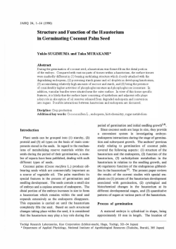 Structure and Function of the Haustorium in Germinating Coconut