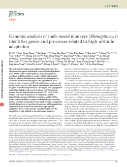 Genomic analysis of snub-nosed monkeys (Rhinopithecus)