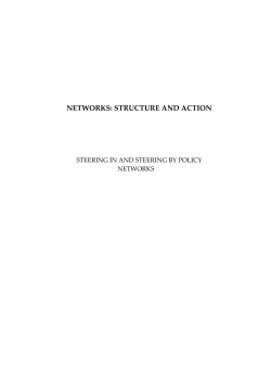 Dassen, A. (2010) Networks: Structure and