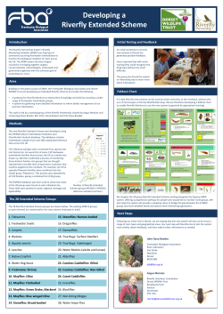 Developing a Riverfly Extended Scheme