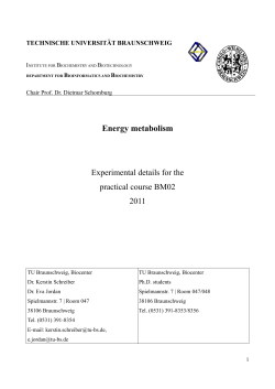 Energy metabolism Experimental details for the practical course