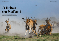 Digital Photography Magazine