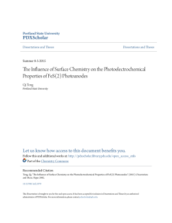 The Influence of Surface Chemistry on the