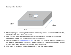 1.5 cm 1.5 cm 2‐3mm 3mm diam Electropor!on chamber 1. Made in