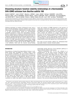 Dissecting structure&ndash;function&ndash;stability relationships of a