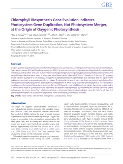 Chlorophyll Biosynthesis Gene Evolution Indicates Photosystem