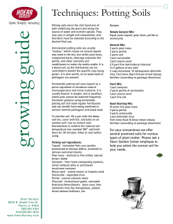 Techniques: Potting Soils