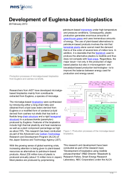 Development of Euglena-based bioplastics