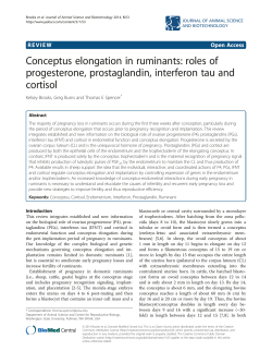 Conceptus elongation in ruminants: roles of progesterone