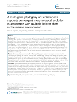 A multi-gene phylogeny of Cephalopoda supports convergent