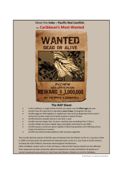 the Caribbean`s Most Wanted
