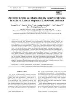 Full text in pdf format