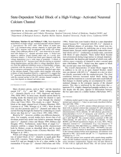 State-Dependent Nickel Block of a High