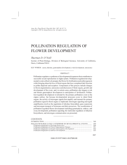 pollination regulation of flower development