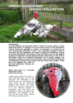 hermelijn ronquires versus crllwitzer