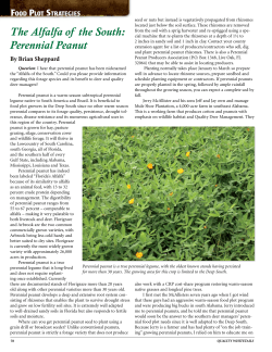 The Alfalfa of the South - Perennial Peanut Producers Association