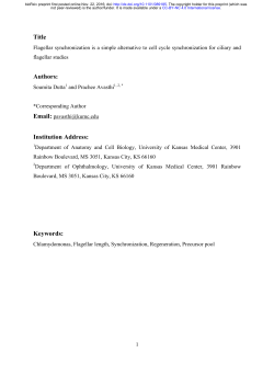 Flagellar synchronization is a simple alternative to cell