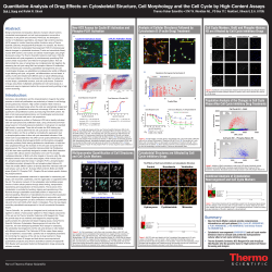 Quantitative Analysis of Drug Effects on Cytoskeletal Structure, Cell