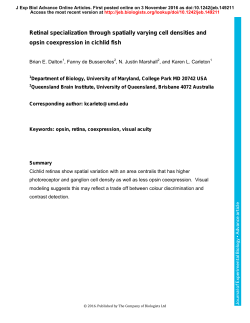 Retinal specialization through spatially varying cell densities and