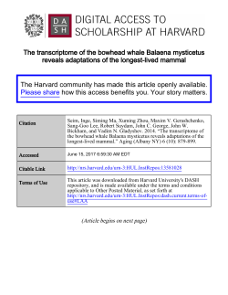 Full Text - Digital Access to Scholarship at Harvard