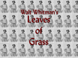 Leaves of Grass &ndash;Whitman - The Conscious Living Foundation